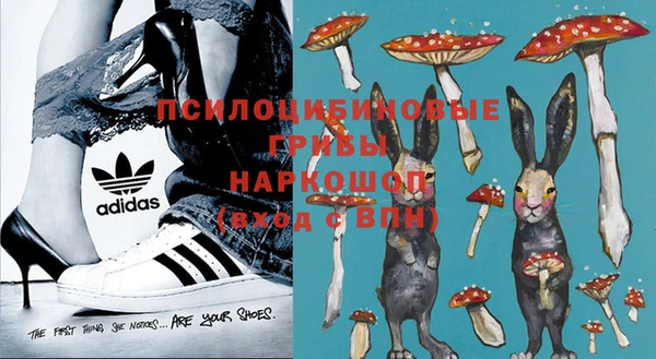 ешки Верхний Тагил
