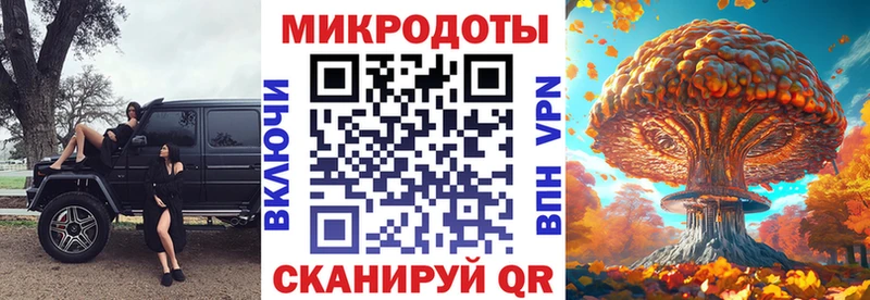 закладки Черноголовка Псилоцибиновые грибы Psilocybine cubensis